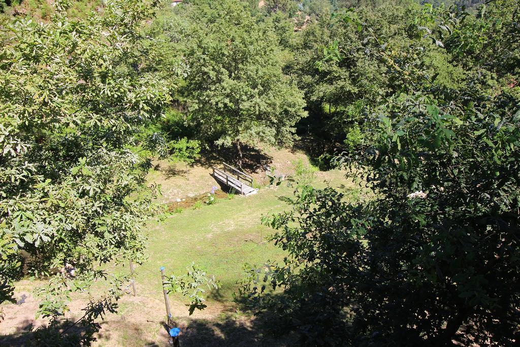 Pensjonat Encostas Da Torre Terras de Bouro Zewnętrze zdjęcie